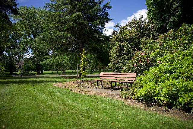 wide sweeping lawn with trees and shrubs surrounding a bench